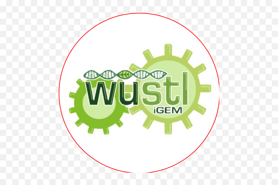 Teamwashu Stlouisst Louis - 2018igemorg Language Emoji,Washington University In St Louis Logo