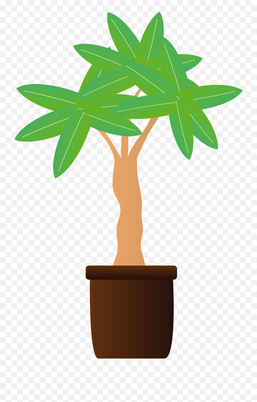 Pachira Tropical Tree Clipart Emoji,Tropical Tree Png
