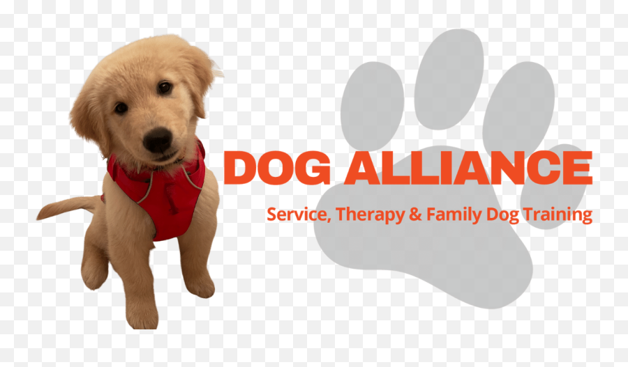 Bow Wow Therapy And Reading Dogs - A Program Of The Dog Alliance Emoji,Wow Alliance Logo