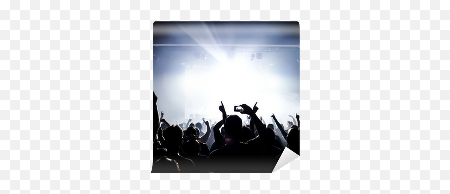 Cheering Crowd At Concert Wall Mural U2022 Pixers - We Live To Emoji,Audience Silhouette Png