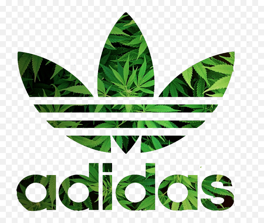 Addicted Adidas Weed Hoodie Shop Clothing U0026 Shoes Online Emoji,Logo Adidad