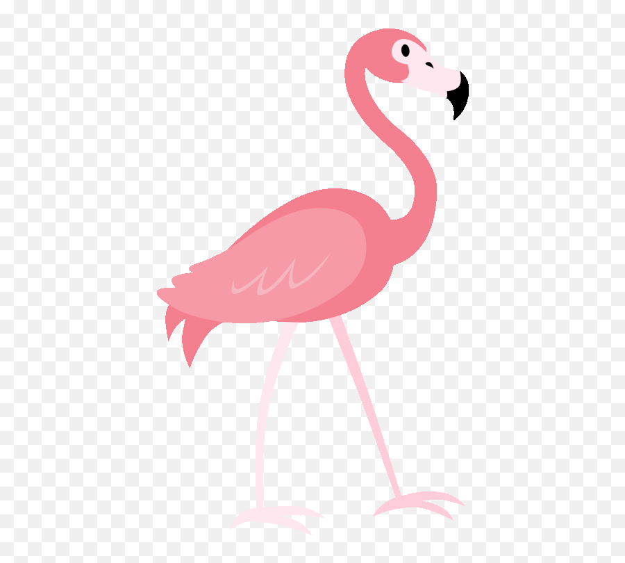 Gif Animation Happy Birthday Flamingo Gif - 21sinhala Emoji,Pink Flamingos Clipart