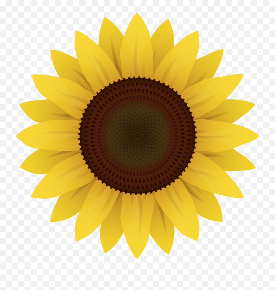 Sunflower - Sunflower Clipart Emoji,Sunflower Logo