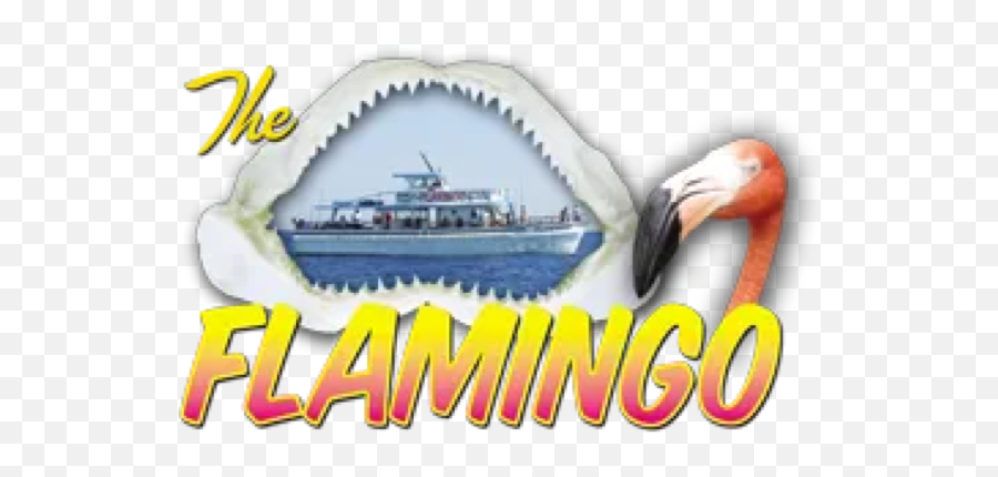 Flamingo Fishing Fort Lauderdale Fl - Marine Architecture Emoji,Flamingo Logo