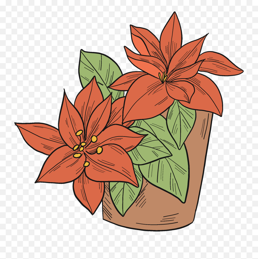 Poinsettia In A Pot Clipart - Poinsettia Png Download Flowerpot Emoji,Poinsettia Clipart