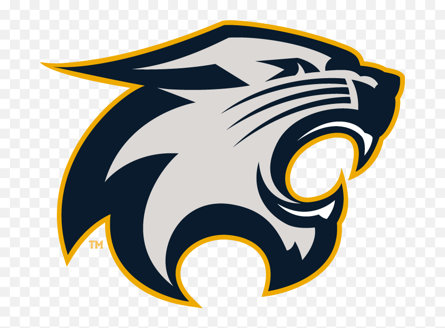 River Falls Wildcats Logo Transparent - Wildcats River Falls High School Emoji,Wildcats Logo