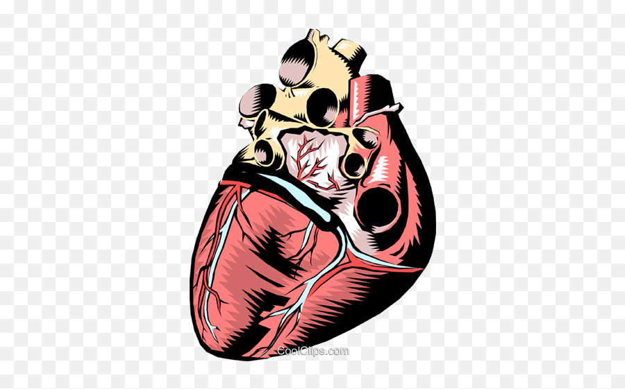 Human Heart Royalty Free Vector Clip - Humano Coracao Png Emoji,Human Heart Clipart