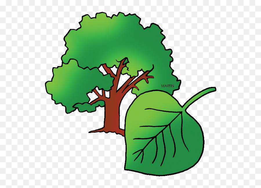 Free United States Clip Art By Phillip Martin State - Stat Nebraska State Tree Clipart Emoji,United States Clipart
