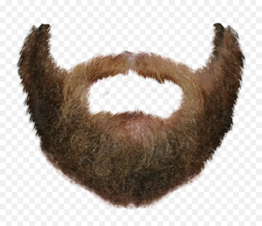 Real Brown Beard Png Clipart - Beard Png Transparent Emoji,Beard Png