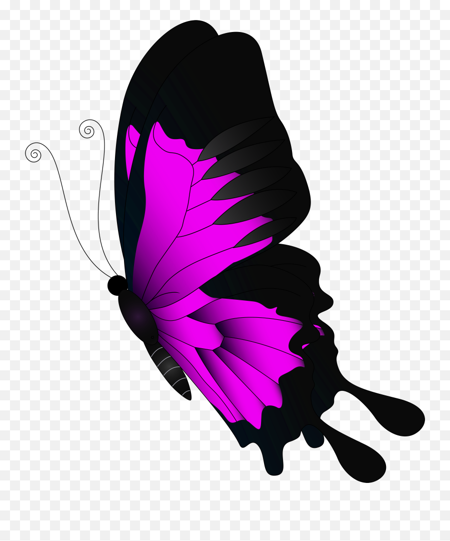 Butterflies Clipart Magenta Butterflies Magenta Transparent - Transparent Flying Clipart Butterfly Emoji,Butterflies Clipart