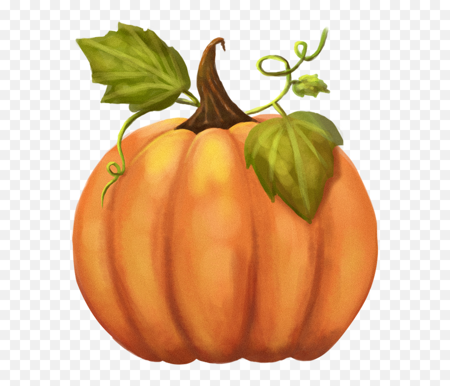 Pumpkin Halloween Decoration - Free Image On Pixabay Emoji,Butternut Squash Clipart
