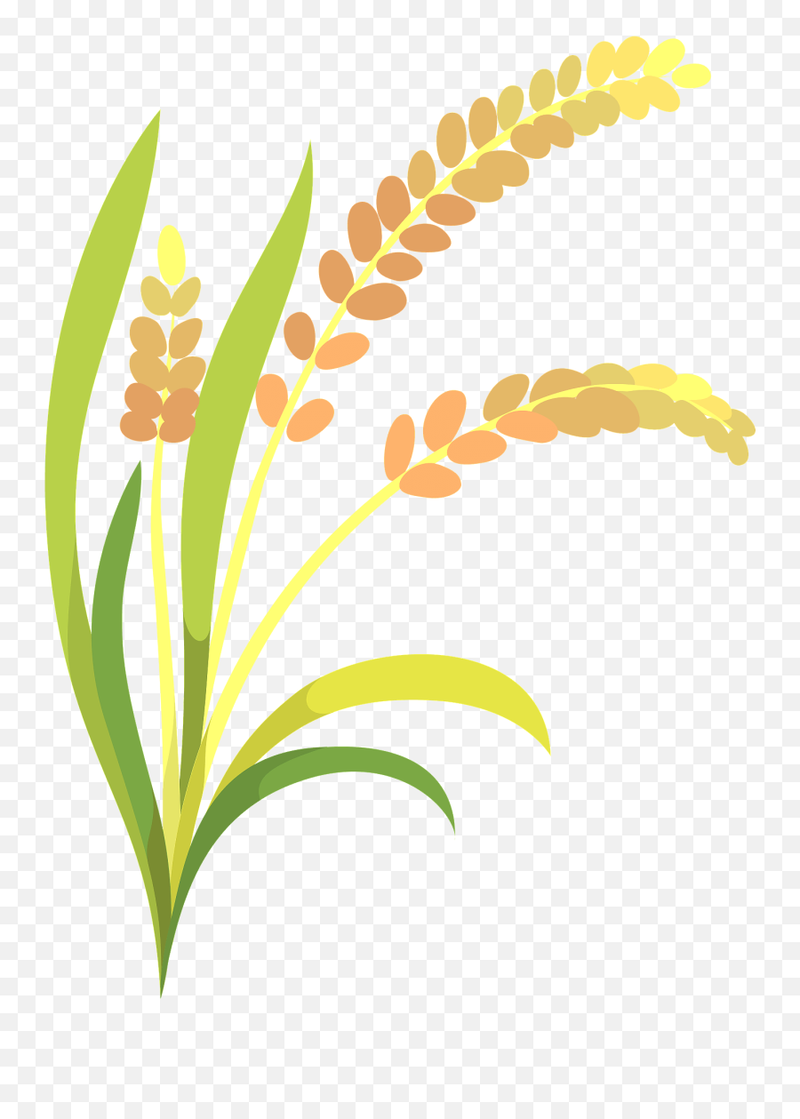 Ear Of Rice Clipart Free Download Transparent Png Creazilla - Ear Of Rice Clipart Emoji,Ear Clipart