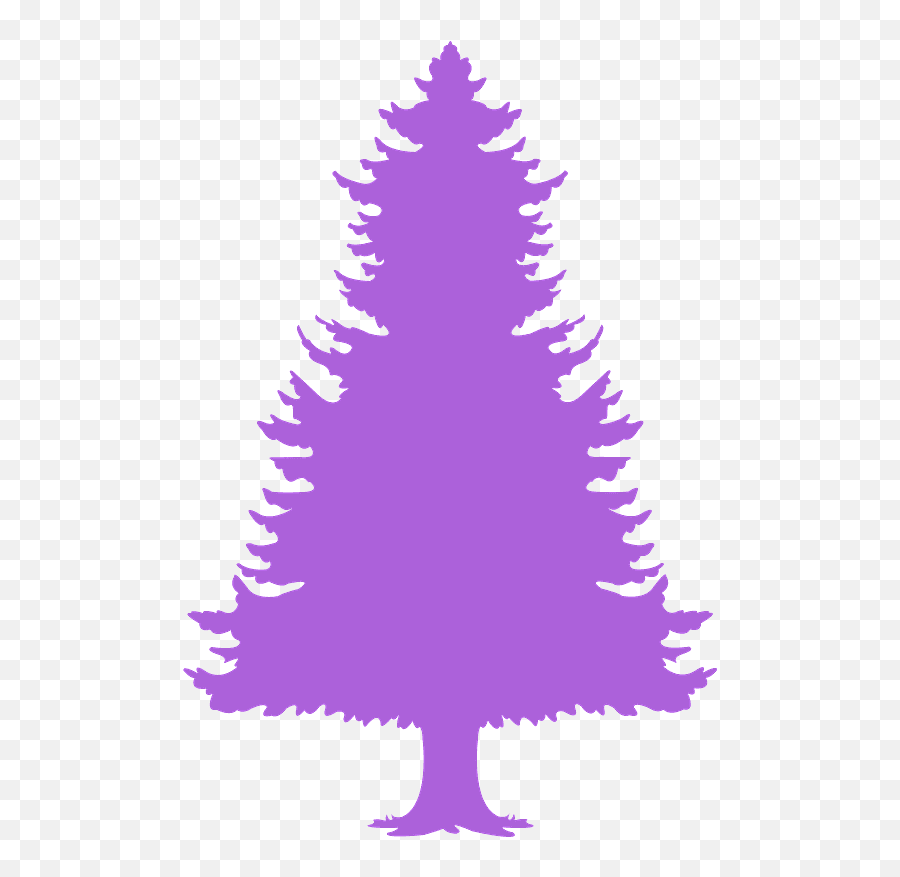 Conifer Tree Silhouette - Free Vector Silhouettes Creazilla Tree Silhouette Blue Png Emoji,Oak Tree Silhouette Png