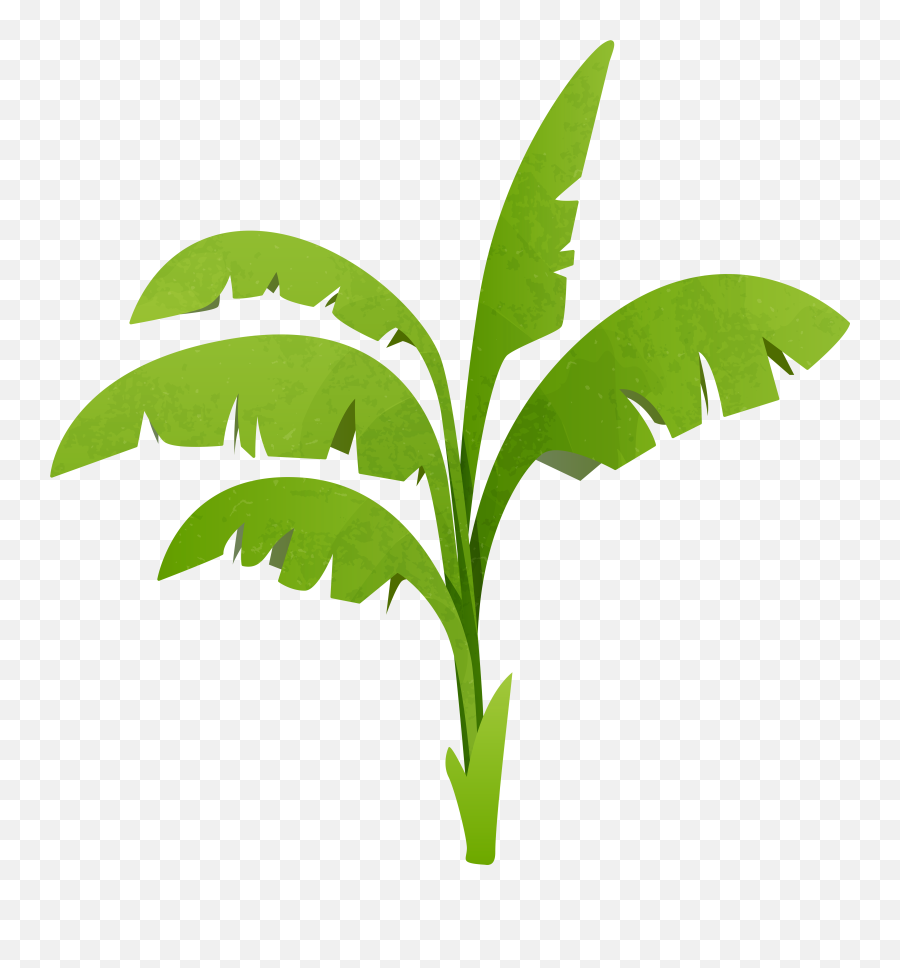 Plants Clipart Tree Planting Plants - Vector Banana Tree Png Emoji,Plants Clipart