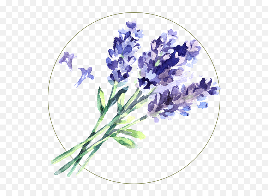 Lavender Juicy Chemistry Emoji,Lavender Transparent Background