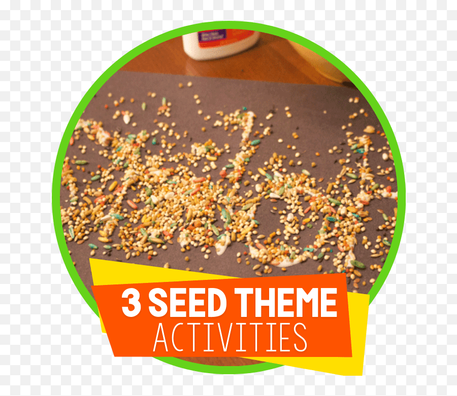 Preschoolers Will Love These 3 Fun Activities With Seeds Emoji,Seed Of Life Png