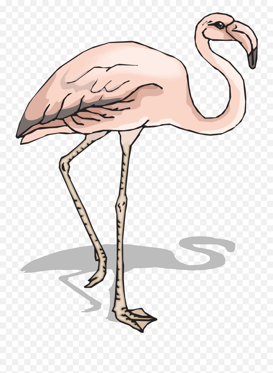 Pink Flamingo Clipart Free Image - 2 Legged Zoo Animals Clipart Emoji,Flamingo Clipart