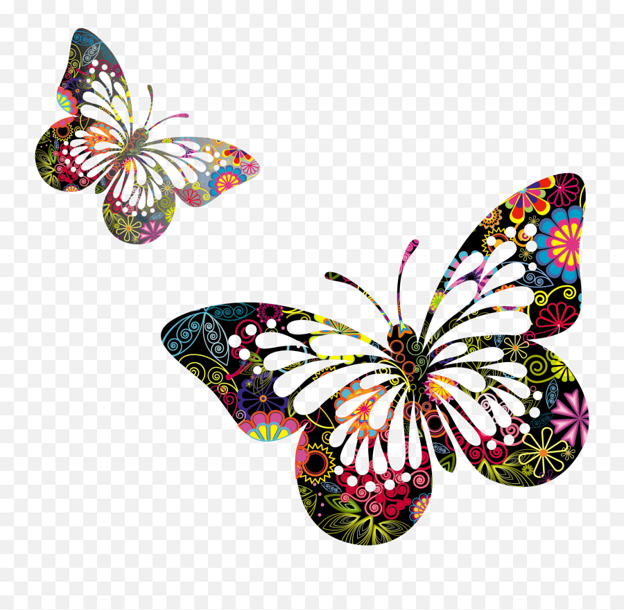Butterfly Pictures Butterflies Vector - Butterflies Vector Png Emoji,Butterflies Transparent