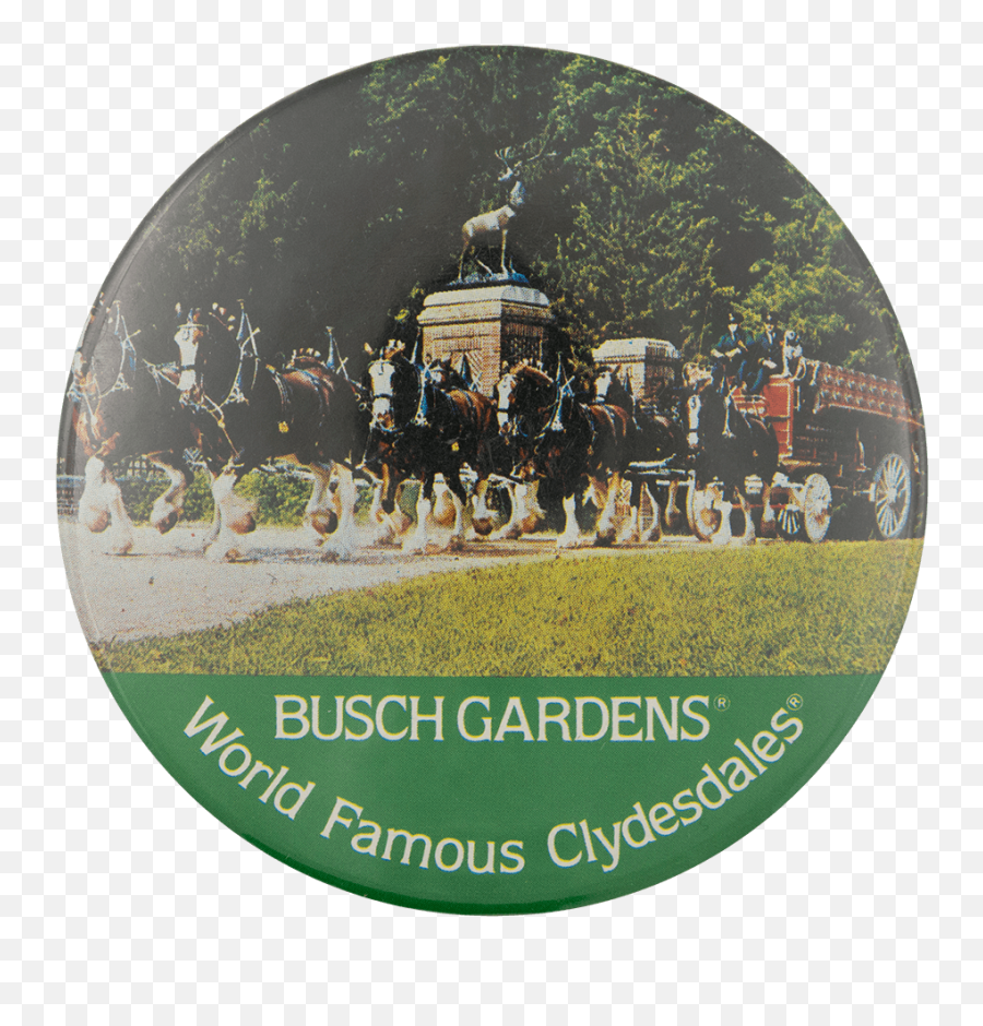 Busch Gardens World Famous Clydesdales - Budweiser Clydesdales Emoji,Busch Gardens Logo