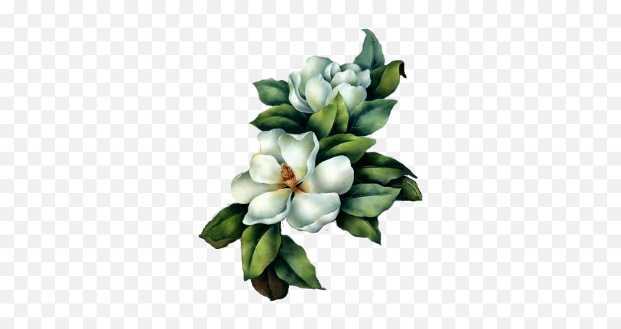 Download Magnolia - White Magnolia Flower Painting Full Emoji,Magnolia Clipart