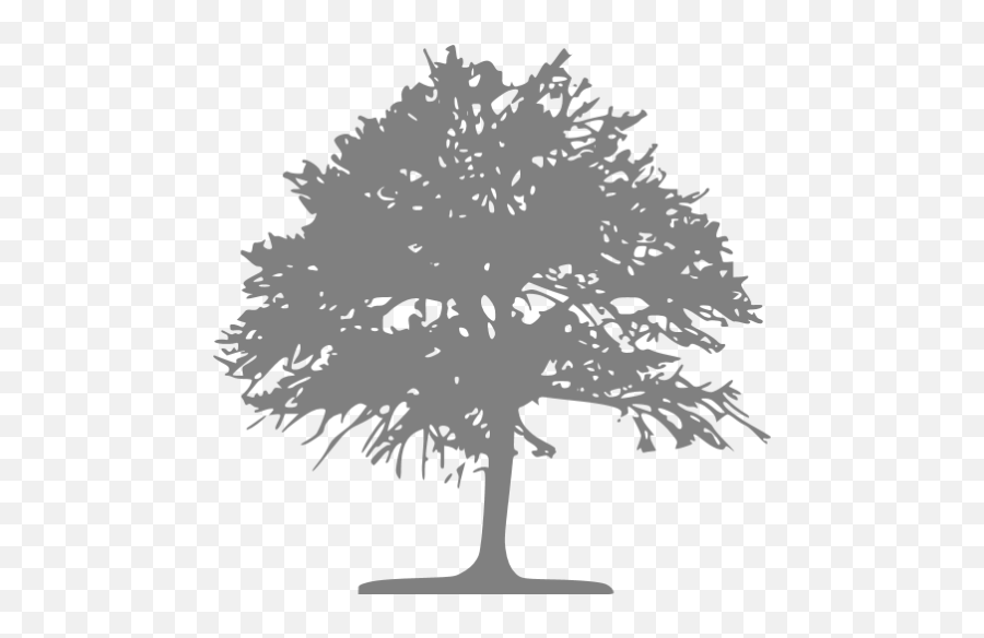 Gray Tree 46 Icon - Free Gray Tree Icons Emoji,Trees Transparent