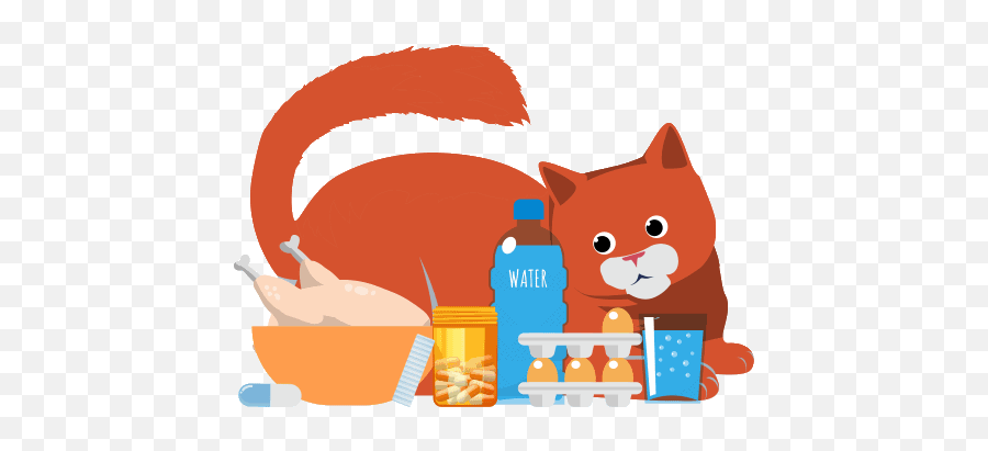 The Complete Guide To Feline Nutrition - All About Cats Emoji,Cat Food Clipart
