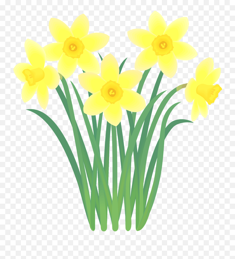 Narcissus Flower Clipart Free Download Transparent Png - Flower Daffodil Clipart Emoji,Flower Clipart