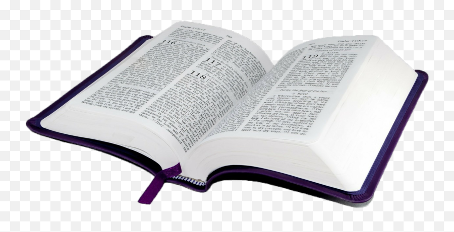 Bible Study Book Religion Religious Text - Holy Bible Png Bíblia Católica Aberta Png Emoji,Bible Study Clipart