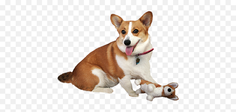 Dog Clip Art - Dog Cartoon Illustrations U0026 Sketches Doll Png Dog Emoji,Pet Clipart