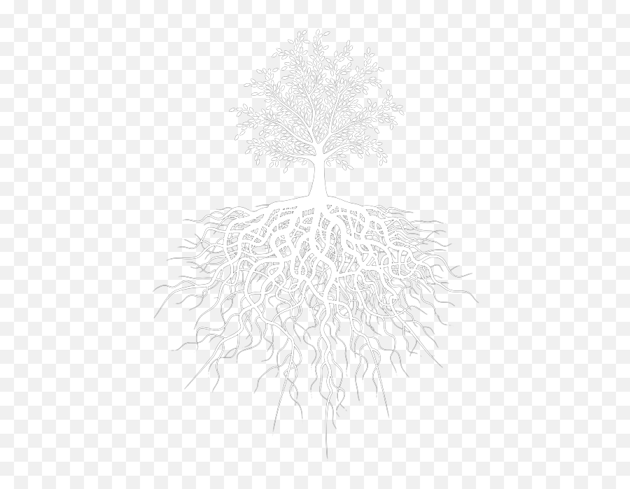 Tree Roots Emoji,Tree Roots Png
