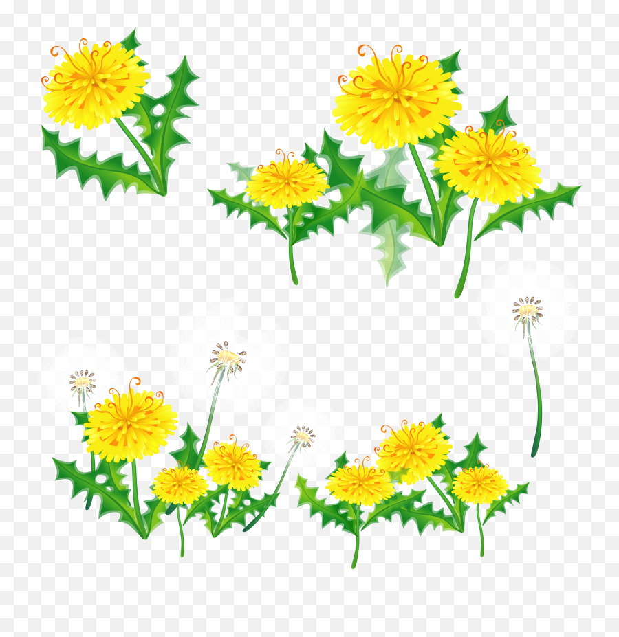 Download Dandelions Png - Yellow Flower Border Transparent Flowers Clipart Banner Png Emoji,Flower Border Transparent