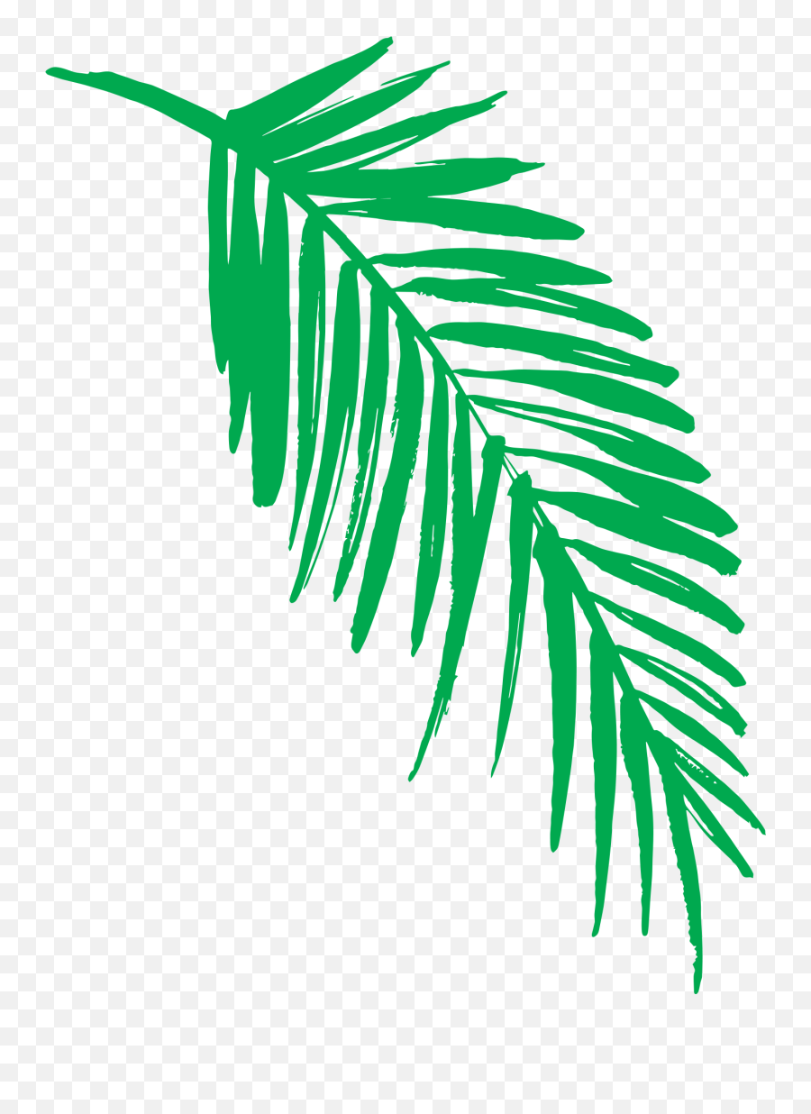 2019 Green Jungle Leaf - Cartoon Transparent Jungle Leaves Emoji,Jungle Leaf Clipart