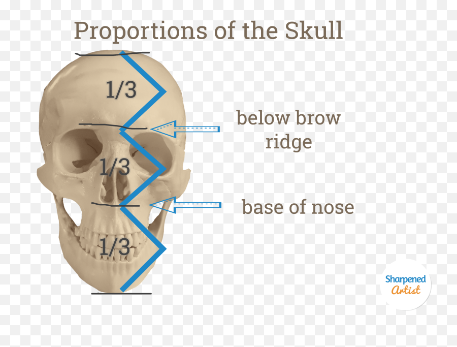 Blog U2014 Sharpened Artist Emoji,Cartoon Network Skull Logo