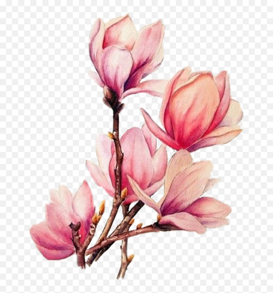 Download Tattoo Flower Branches - Pink Watercolor Flowers Png Emoji,Watercolor Flowers Png