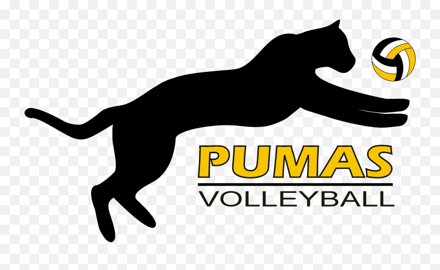 Pumas Volleyball Club - Pumas Volleyball Emoji,Volleyball Logo