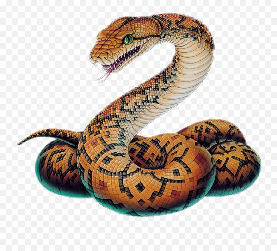 Snake Clipart Boa Constrictor Png - Snake Png Transparent Emoji,Snake Clipart