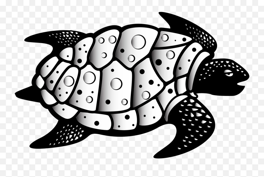 Turtle Clipart Free Download Transparent Png Creazilla - Dot Emoji,Turtle Clipart Black And White
