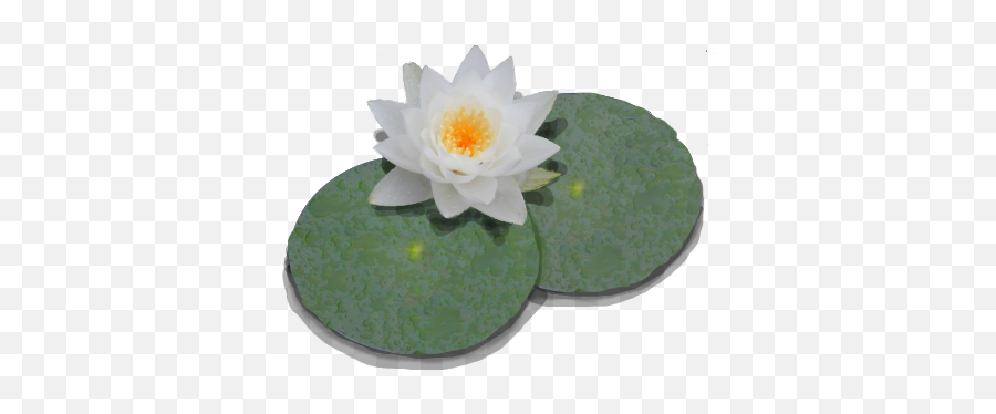 Lily Pad Clipart Png Images - Transparent Lily Pad Png Emoji,Lily Pad Clipart