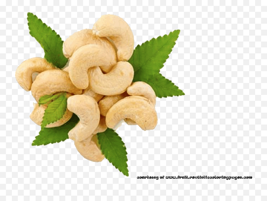 Download Rambutan Clipart Cashew Nut - Cashew Png Png Image Cashew Nut Png Emoji,Nut Clipart
