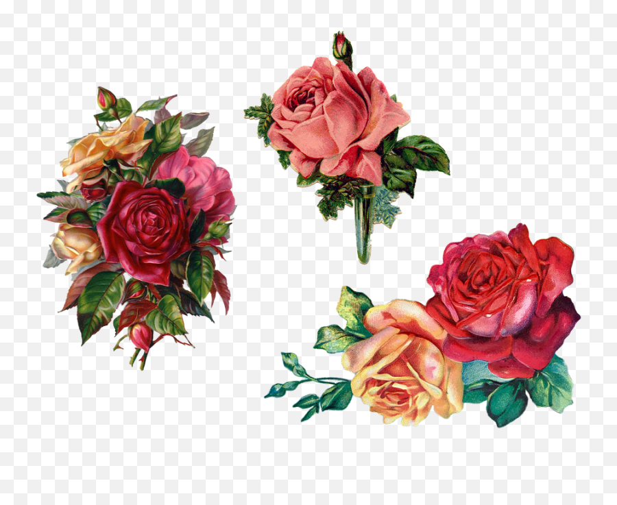 Vintage Roses Bouquet Emoji,Vintage Roses Png