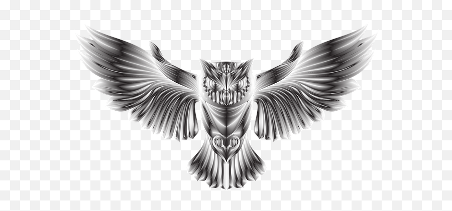 700 Free Owl U0026 Bird Illustrations - Pixabay Emoji,Christmas Owl Clipart
