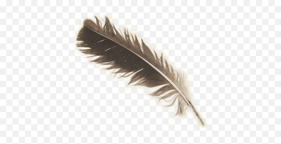 Feather For Writing Png Full Size Png Download Seekpng Emoji,Indian Feather Png