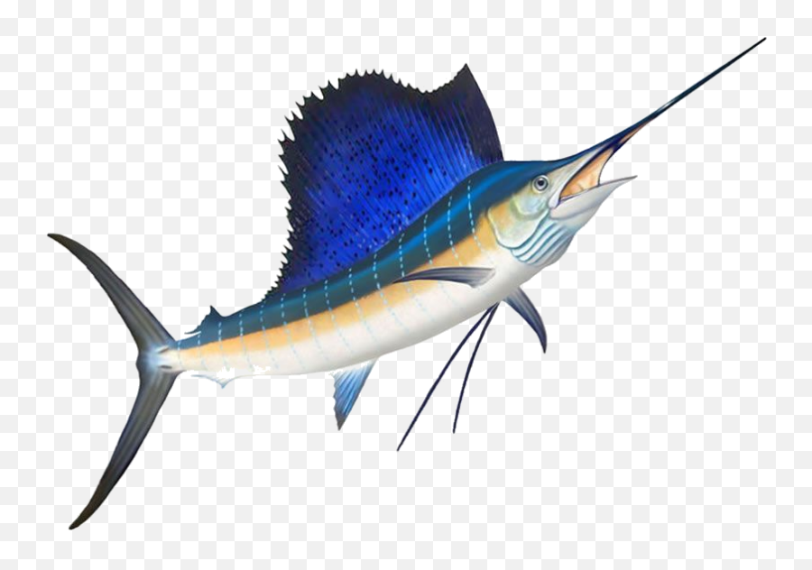 Nauti Dreams Luxury Fishing And Cruising Charters - Home Emoji,Sailfish Clipart