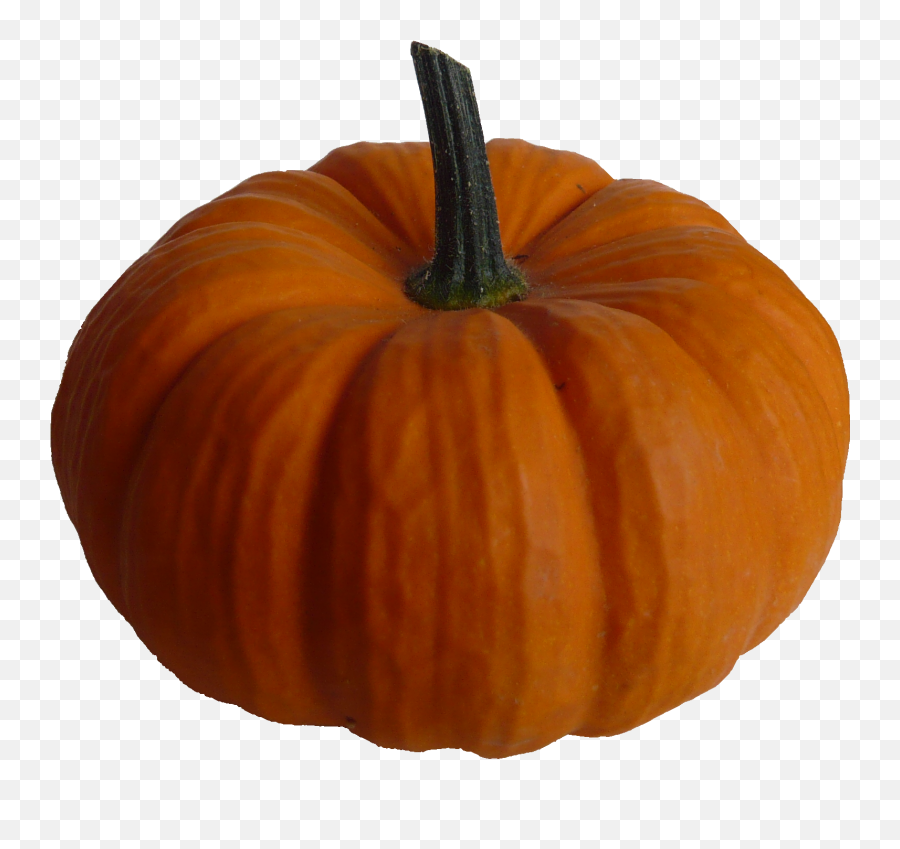 Real Pumpkin Png Image - Real Pumpkin Png Emoji,Pumpkin Png
