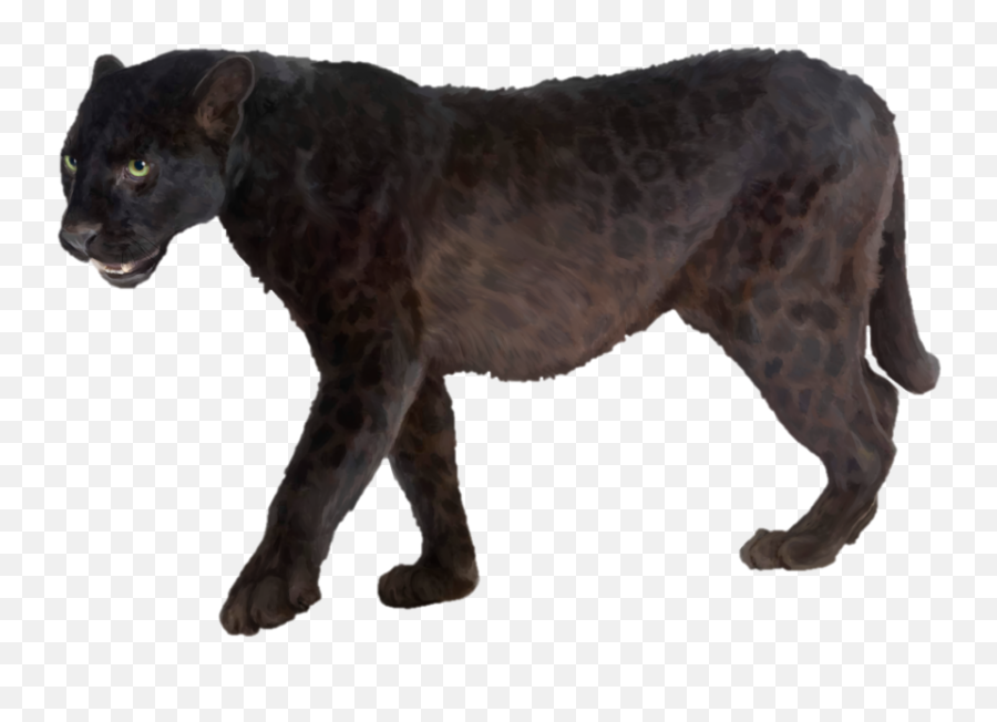 Download Panther Png Transparent - Black Panther Animal Stock Emoji,Panther Png