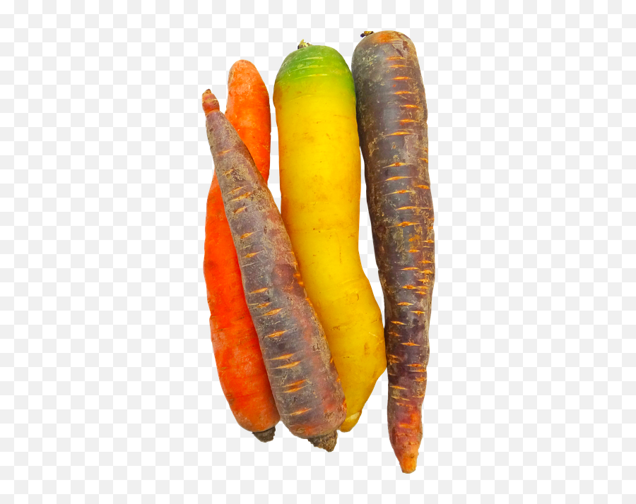 Download Carrots Rainbow Food Vegetable Colorful Png - Colorful Carrots Png Emoji,Carrot Transparent Background