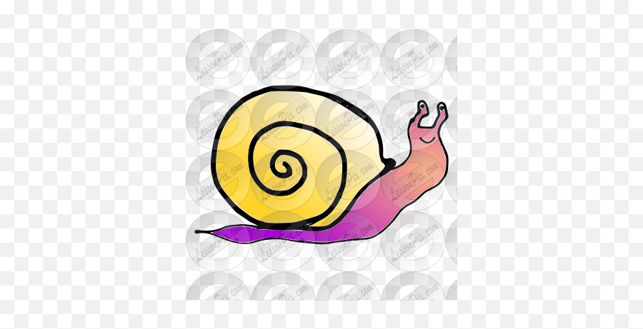 Snail Picture For Classroom Therapy - Snail Emoji,Snail Clipart