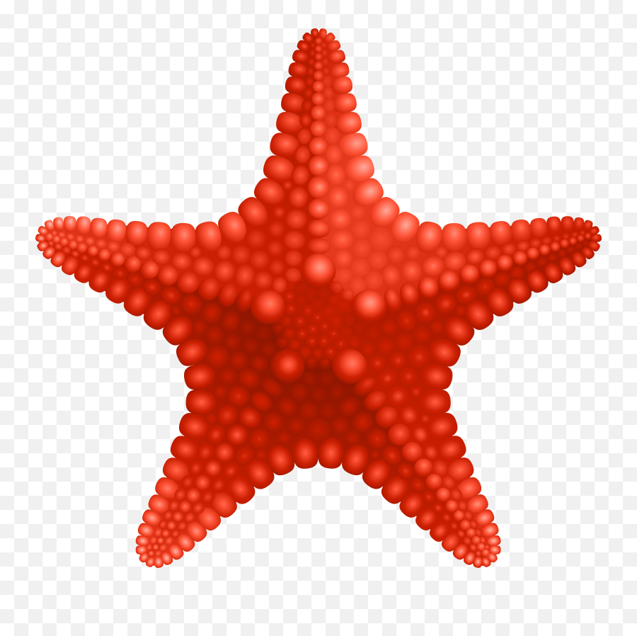 Download Hd Starfish Png Transparent Png Image - Nicepngcom Emoji,Starfish Transparent Background