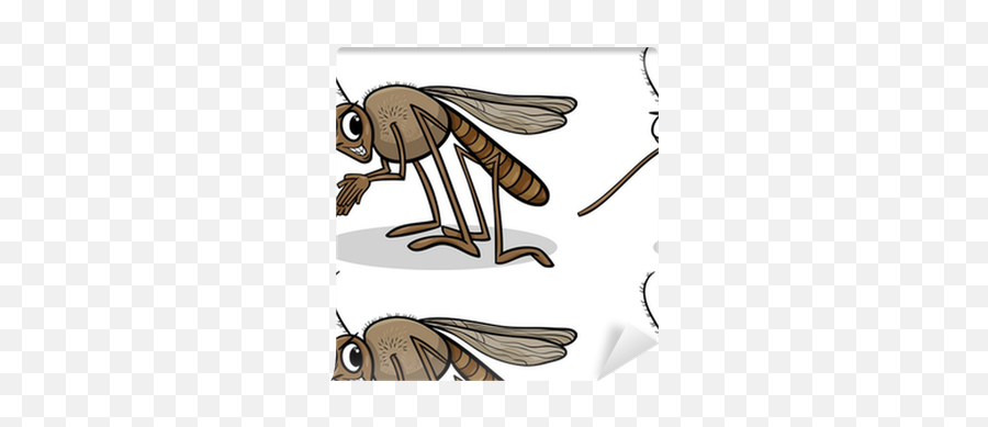 Mosquito Insect Cartoon Illustration Wallpaper U2022 Pixers Emoji,Mosquito Clipart Black And White