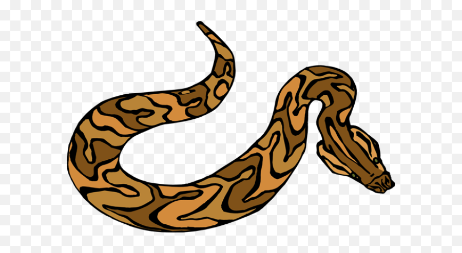 Snake Clipart Transparent Png Image - Brown Snake Clipart Png Emoji,Snake Clipart